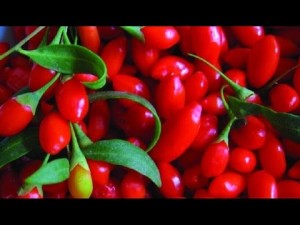 Goji berries can destroy cervical cancer